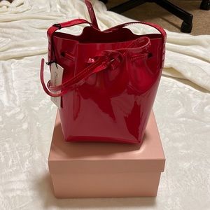 Authentic Mini Mansur Gavriel flamma glossy mini bucket bag